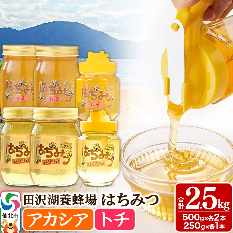 秋田県産はちみつ（アカシア・トチ）250g×各1本・500g×各2本 合計2.5kg 化粧箱入り 詰め合わせセット 田沢湖養蜂場
