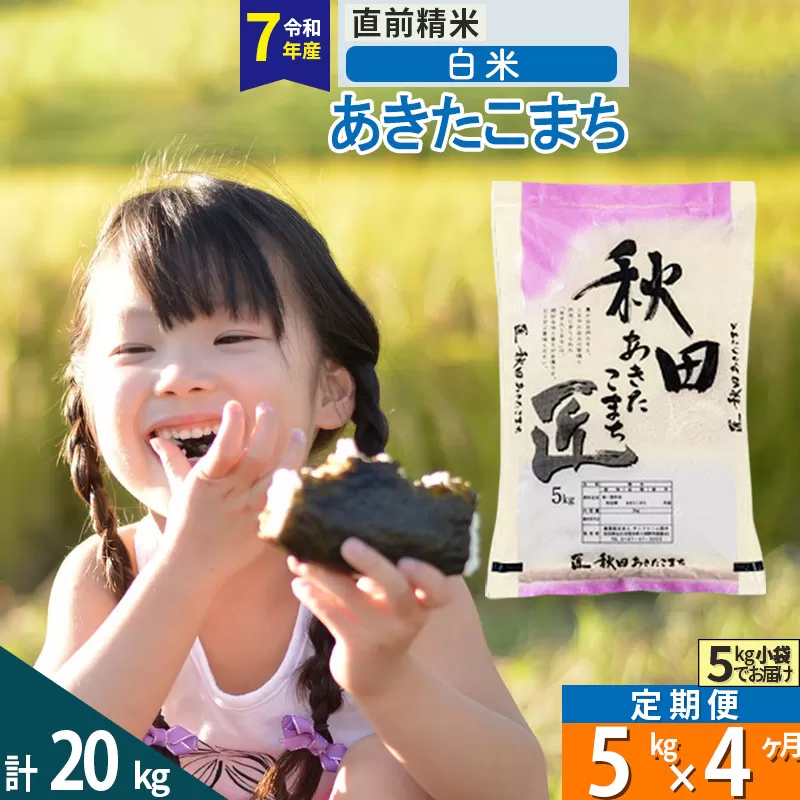 【白米】＜令和7年産＞ 《定期便4ヶ月》秋田県産 あきたこまち 5kg (5kg×1袋)×4回 5キロ お米 匠  秋田県仙北市