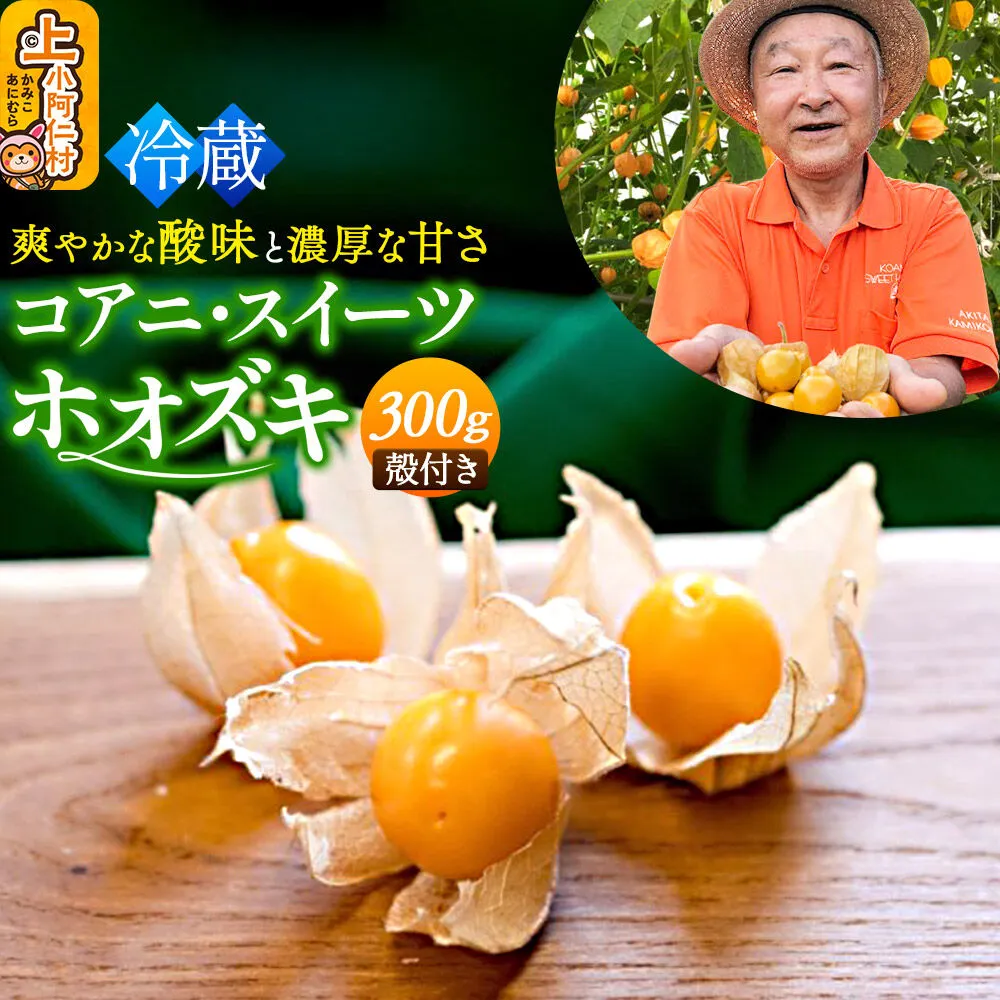 [9月下旬〜10月中旬発送][冷蔵]コアニ・スイーツホオズキ 300g(150g×2パック) 殻付き 生食用 ほおずき ゴールデンベリー スーパーフード たじゅうろう農園[先行予約] [ほおずき ホオズキ 生食用ほおずき コアニ・スイーツホオズキ ゴールデンベリー スーパーフード 爽やかな酸味 濃厚な甘さ たじゅうろう農園 秋田県 上小阿仁村] 秋田県上小阿仁村
