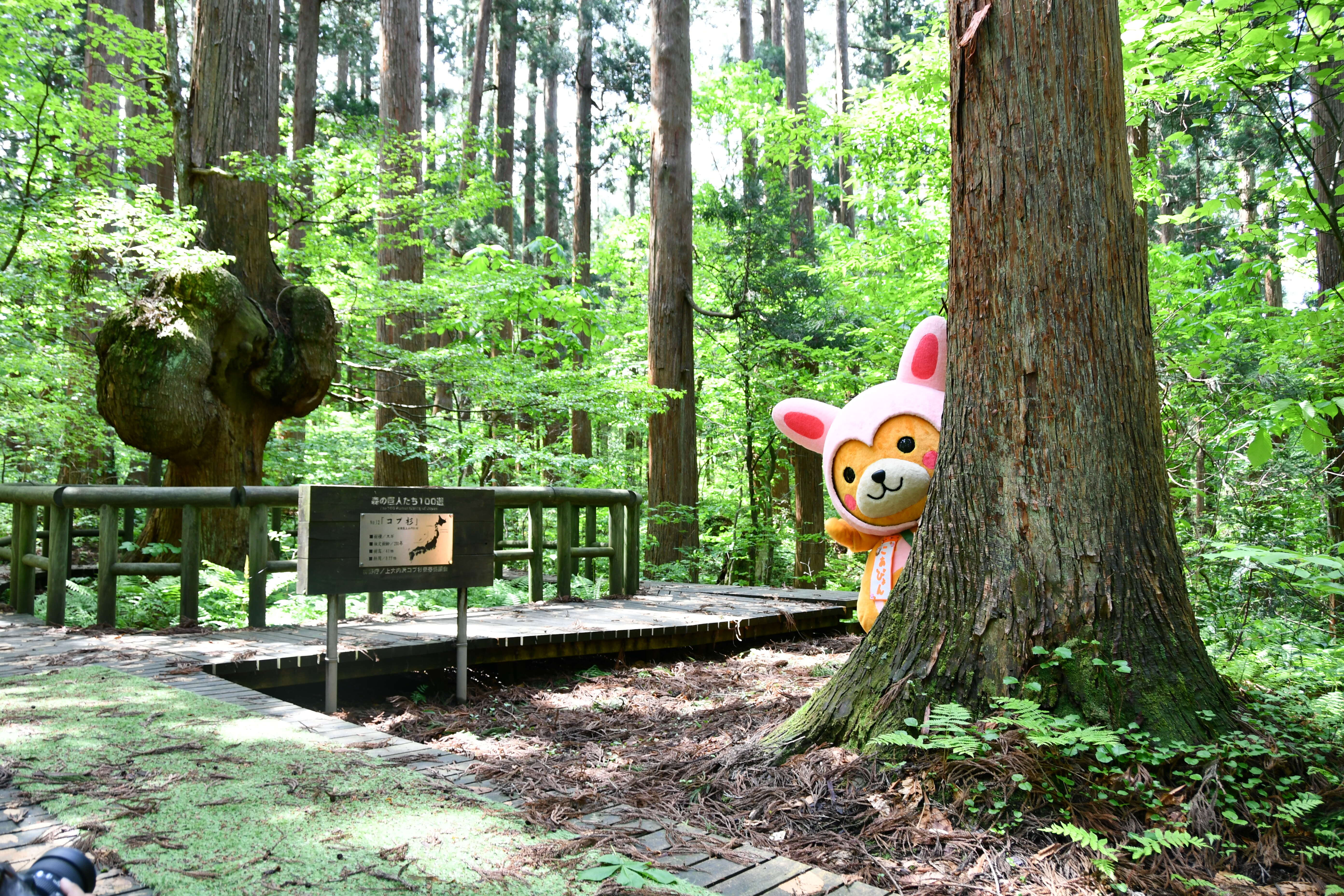 ふるさとの自然、景観を活かした事業