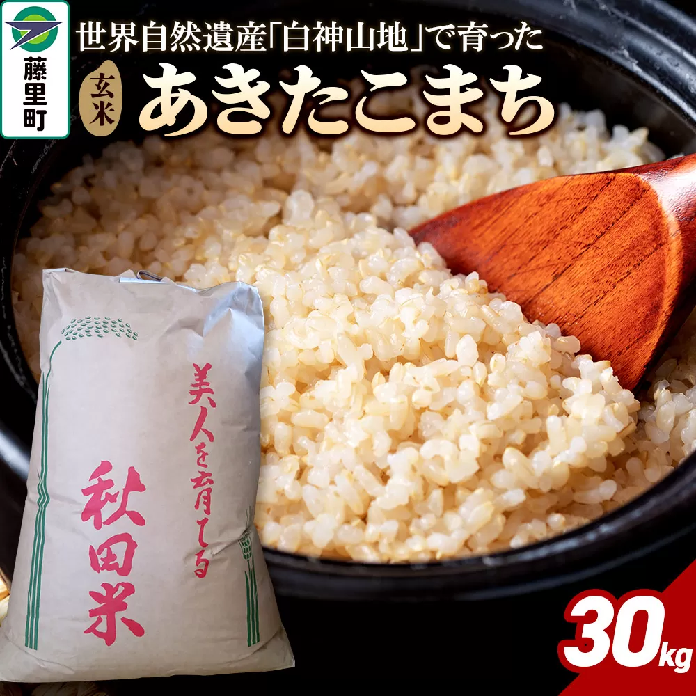 米 令和7年産 あきたこまち[玄米]30kg 秋田県藤里町