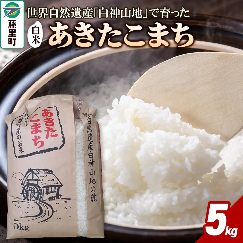 米 令和7年産 あきたこまち[白米]5kg 秋田県藤里町