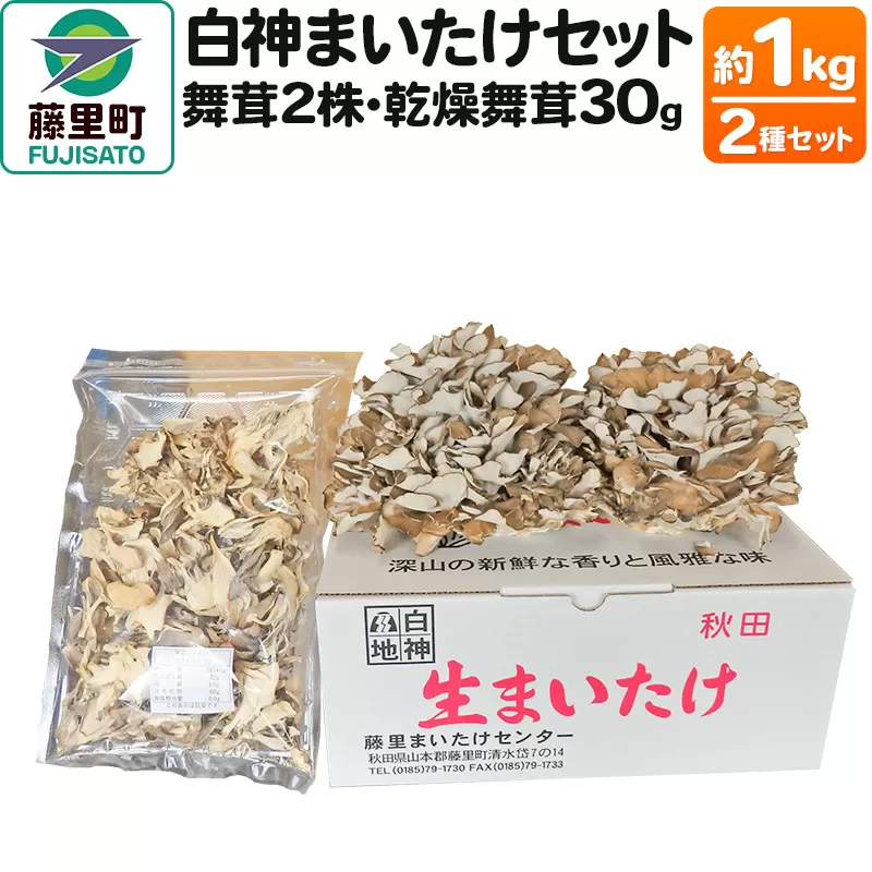 ④秋田県産白神山地天然舞茸!(クロフ)2.5kg弱 ④秋田県産白神山地天然舞茸!(クロフ)2.5kg弱