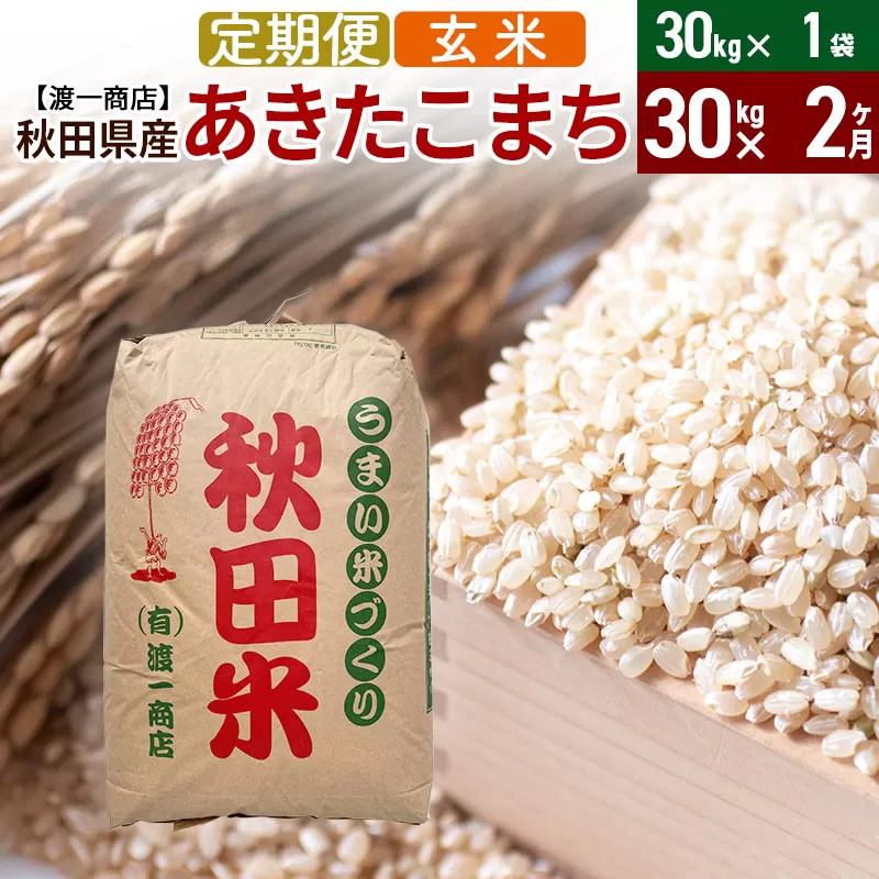 《定期便2ヶ月》 あきたこまち 玄米 30kg（30kg×1袋） 秋田県産 令和5年産