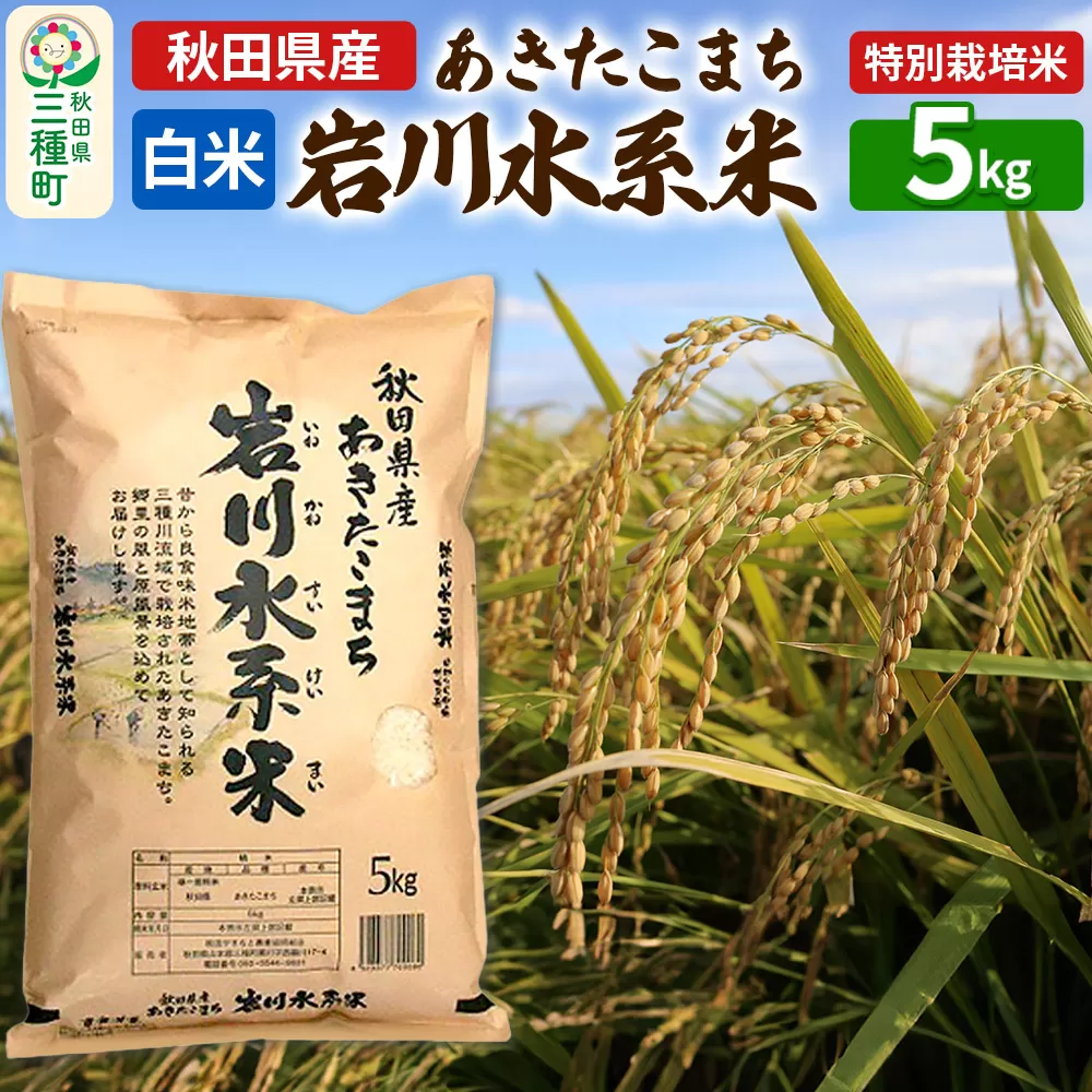 [白米]あきたこまち 岩川水系米 5kg(5kg×1袋) 令和7年産 秋田県三種町