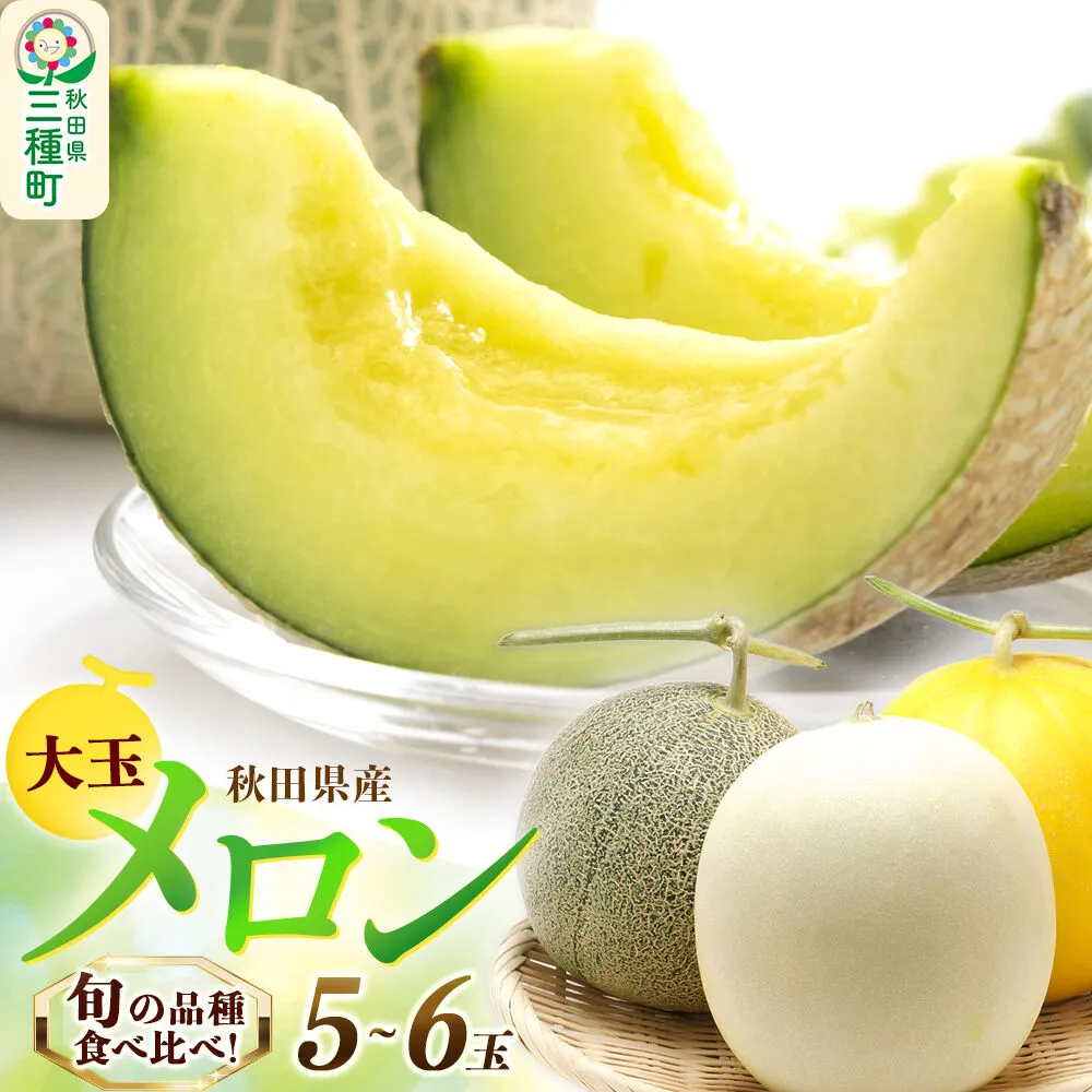 旬のメロン詰合せ 大箱 5玉〜6玉 果物 フルーツ 秋田県産 [メロン 果物 フルーツ 旬 獲りたて 甘い] 秋田県三種町