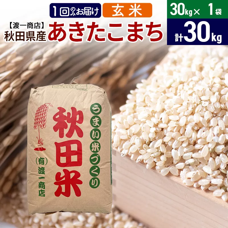 あきたこまち 玄米 30kg（30kg×1袋） 秋田県産 令和5年産