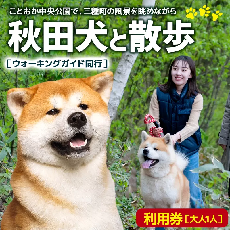秋田犬と散歩 利用券【大人1人】ウォーキングガイド同行