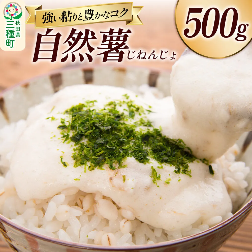 自然薯 500g 秋田県山本郡三種町産 山芋 [山芋 自然薯 とろろ 国産] 秋田県三種町