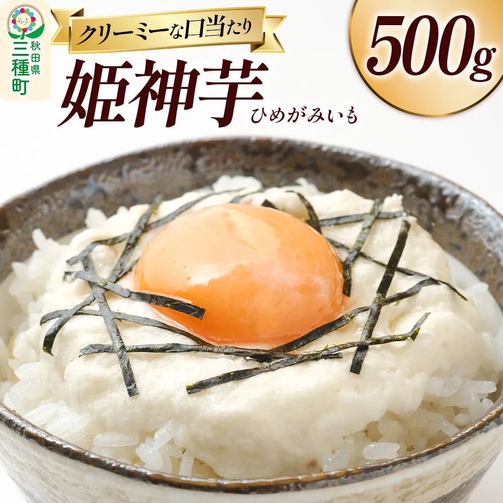 姫神芋 500g 秋田県山本郡三種町産 長芋 [長芋 粘り とろろ 国産 濃厚] 秋田県三種町