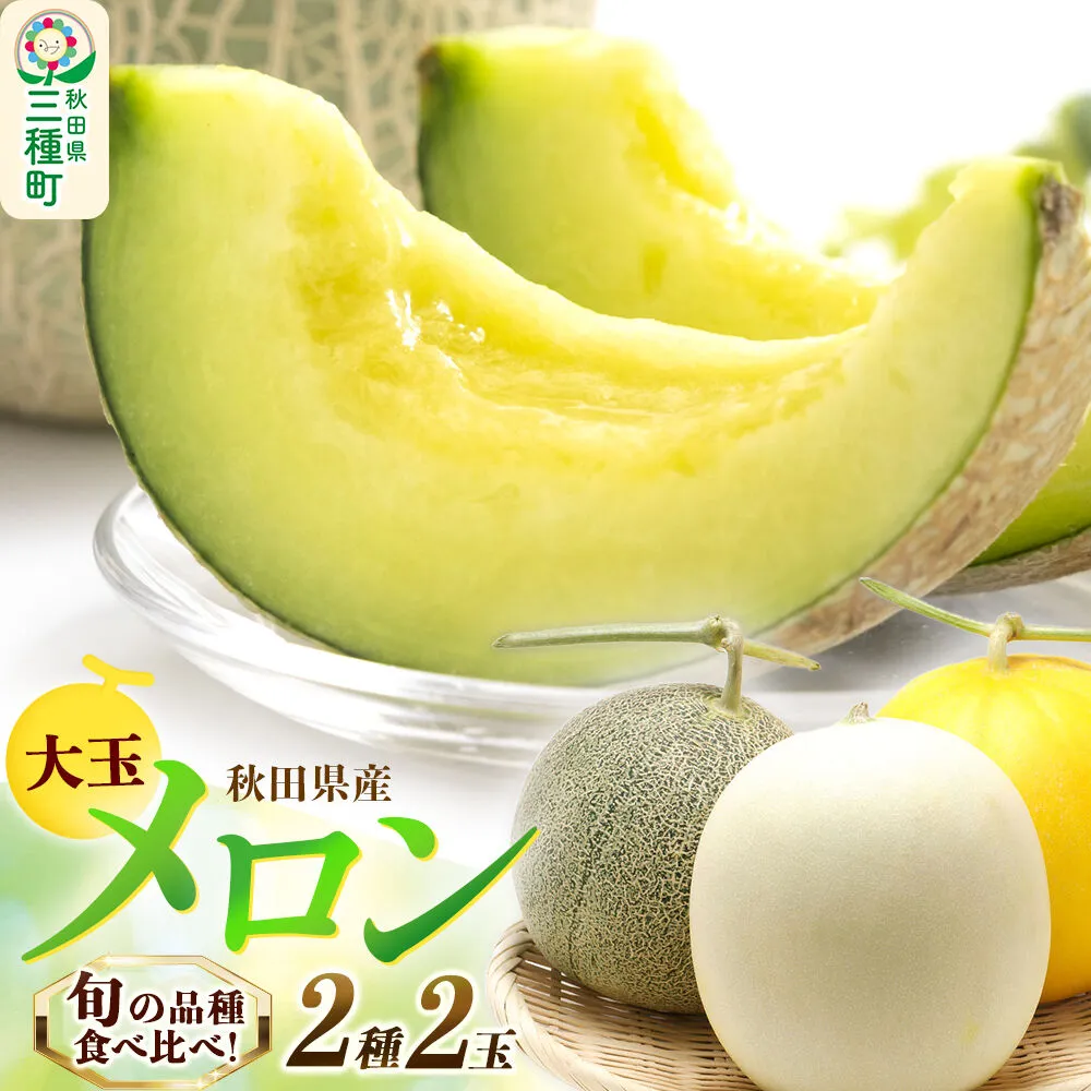 旬のメロン 大玉 2種類 2玉 果物 フルーツ 秋田県産 [メロン 果物 フルーツ 旬 獲りたて 甘い] 秋田県三種町