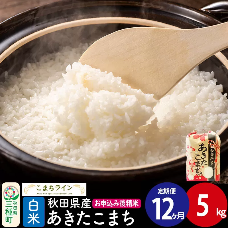 《定期便12ヶ月》【白米】あきたこまち 5kg 秋田県産 令和7年産  こまちライン [秋田 お米 米どころ あきたこまち こまちライン] 秋田県三種町
