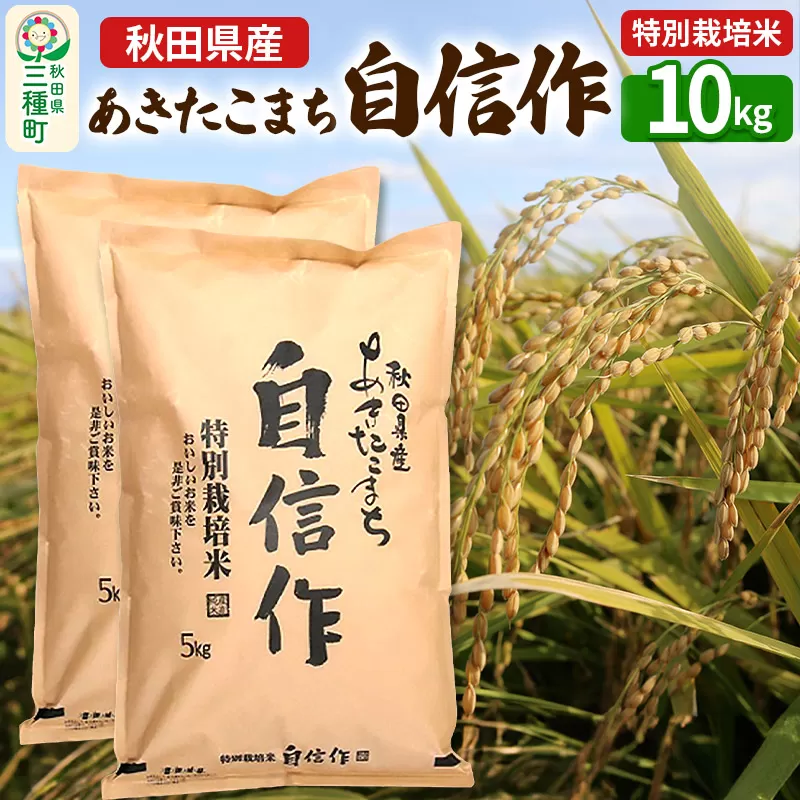 【白米】あきたこまち 自信作 10kg(5kg×2袋) 令和7年産   秋田県三種町