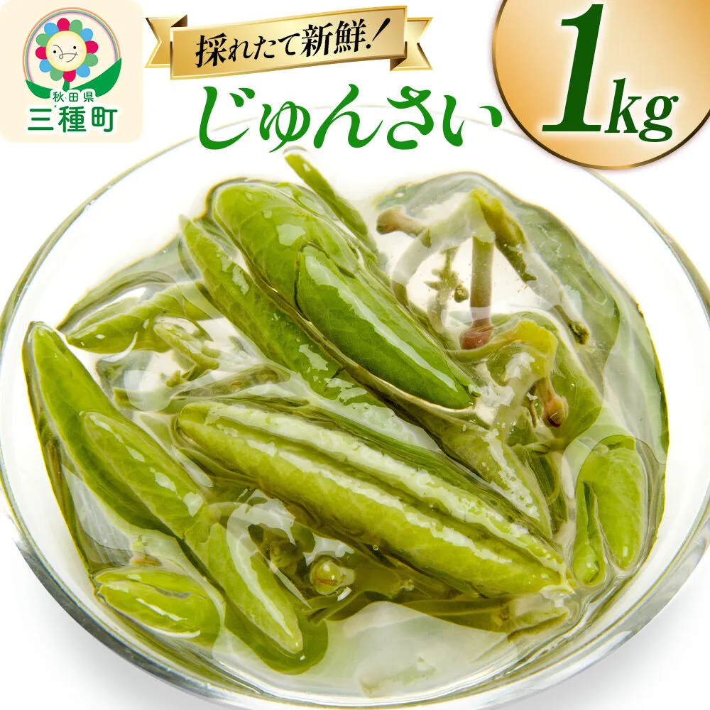 じゅんさい 1kg 秋田県山本郡三種町産 [じゅんさい 秋田県産 国産 自然食品] 秋田県三種町