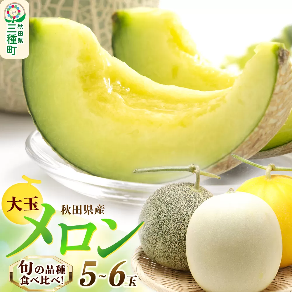 旬のメロン詰合せ 大箱 5玉〜6玉 果物 フルーツ 秋田県産