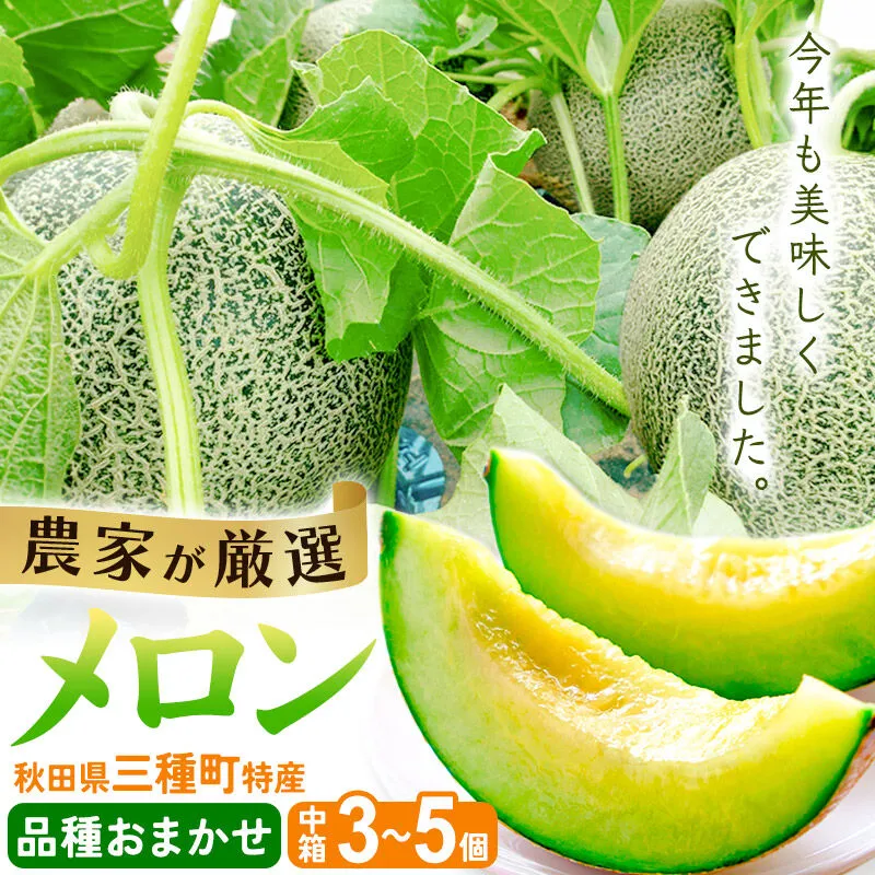 三種町特産 品種お任せ メロン 詰合せ 中箱 3〜5個 [先行予約 メロン 秋田 タカミ グレース 甘えんぼう レノン ドラゴンレッド ドラゴングリーン] 秋田県三種町