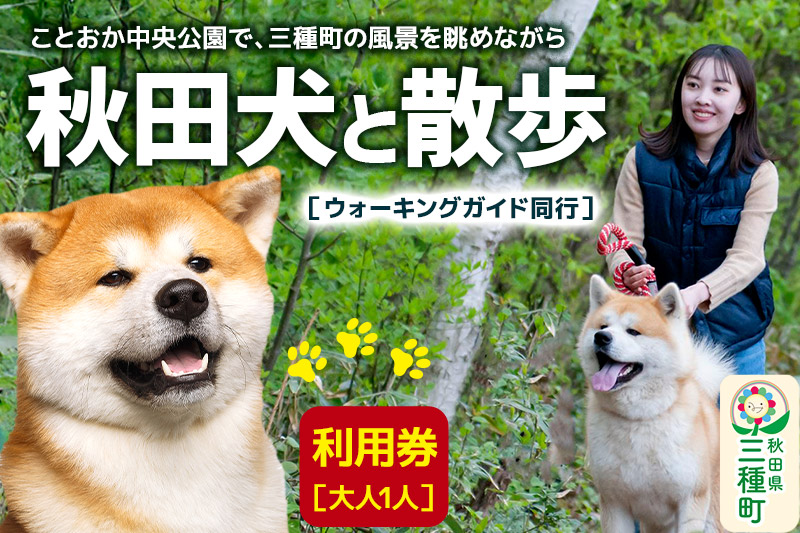 秋田犬と散歩 利用券【大人1人】ウォーキングガイド同行|三種町 秋田犬と散歩 利用券【大人1人】ウォーキングガイド同行|三種町