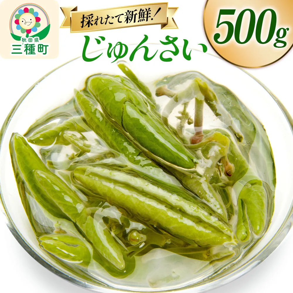 じゅんさい 500g 秋田県山本郡三種町産 [じゅんさい 秋田県産 国産 自然食品] 秋田県三種町