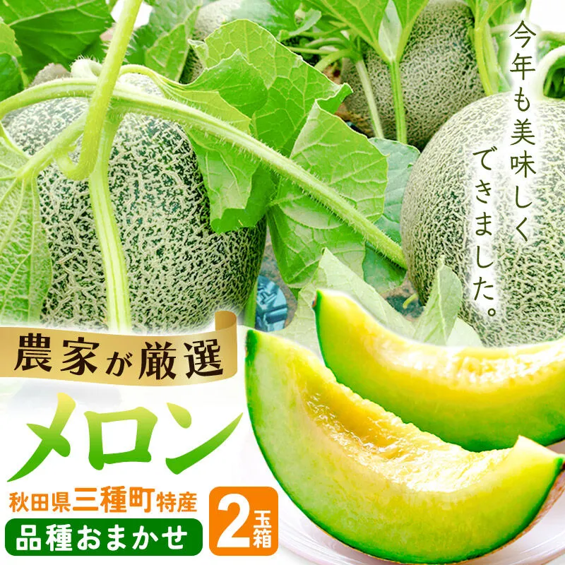 三種町特産 品種お任せ メロン 2玉箱 [先行予約 メロン 秋田 タカミ グレース 甘えんぼう レノン ドラゴンレッド ドラゴングリーン] 秋田県三種町