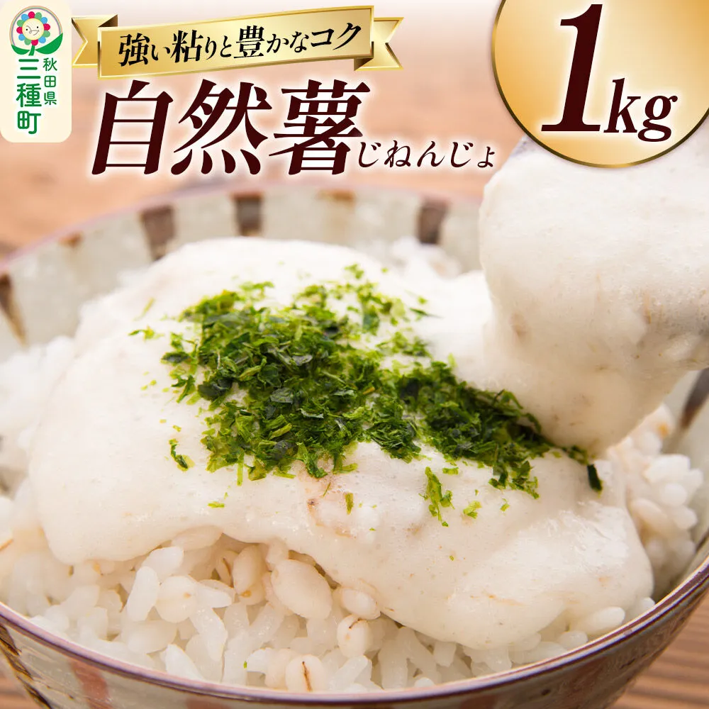 自然薯 1kg 秋田県山本郡三種町産 山芋 [山芋 自然薯 とろろ 国産] 秋田県三種町