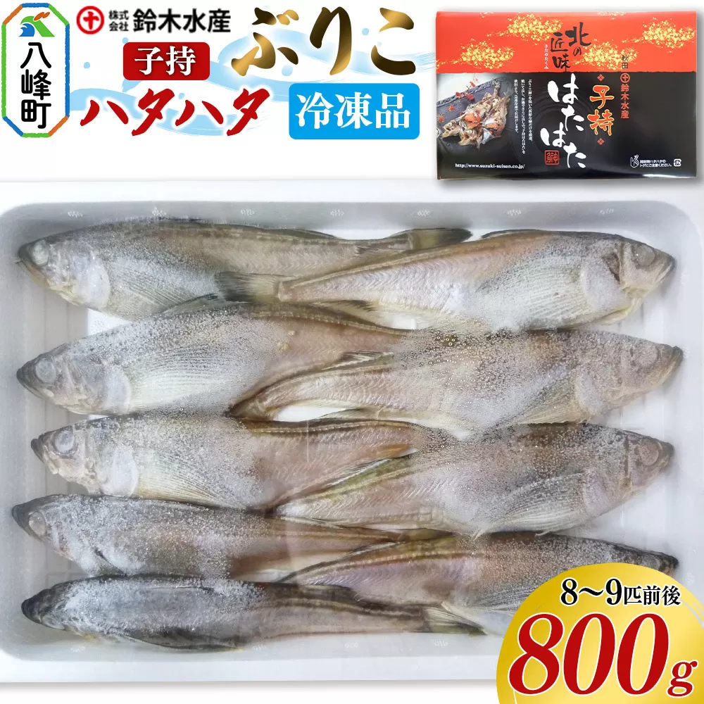 子持ち ハタハタ ブリコ ぶりこ メス 800g(8〜9匹前後)冷凍品 はたはた 鰰 子持ちハタハタ 子持ちはたはた 鈴木水産 秋田県 秋田県八峰町