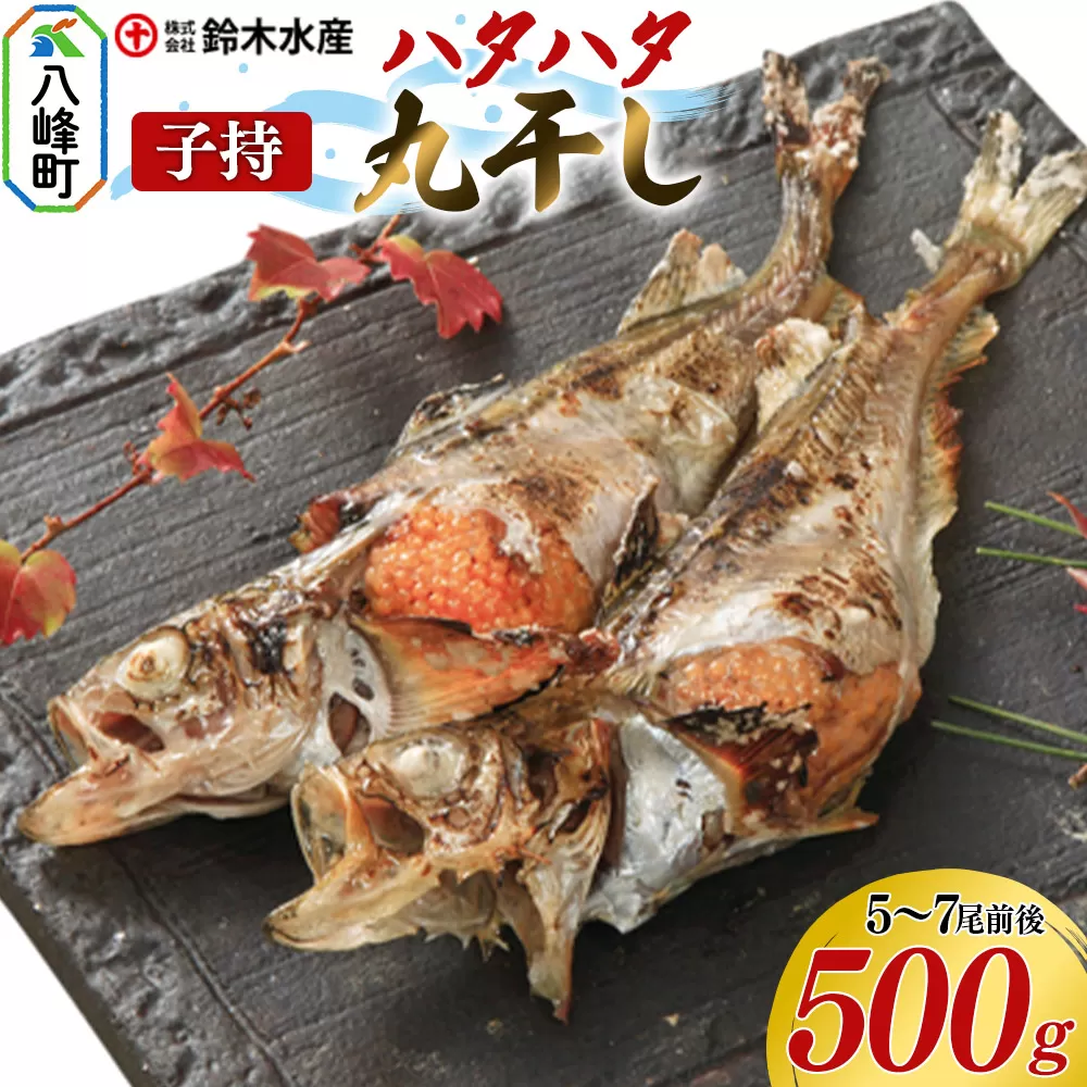 子持 ハタハタ 丸干し 5〜7尾前後 500g はたはた 鰰 子持 はたはた 子持ハタハタ 丸干し ぶりこ 鈴木水産 秋田県 八峰町 秋田県八峰町