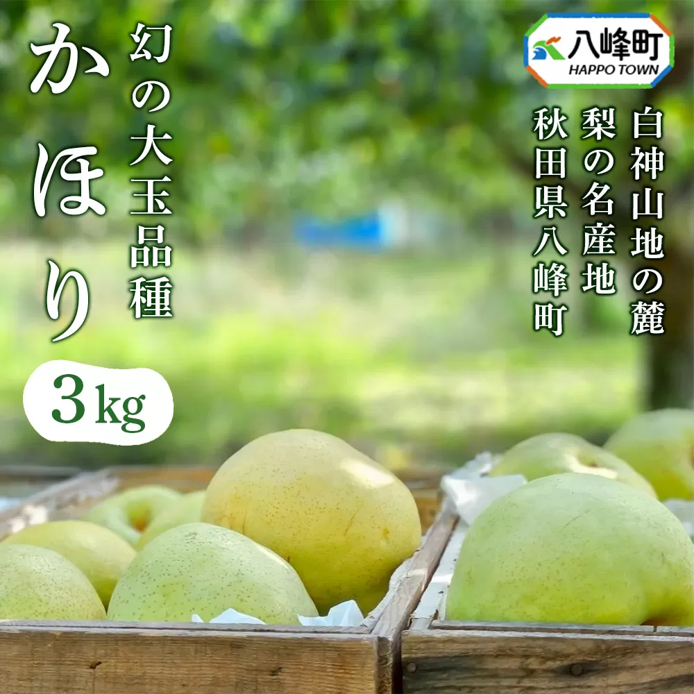 梨 かほり 3kg 白神山地の麓 峰浜の梨 笠原果樹園