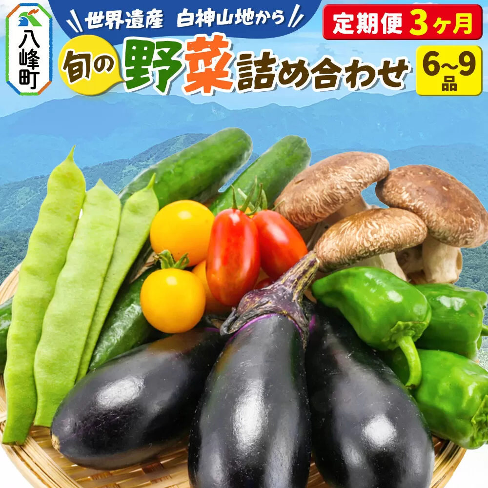 野菜詰合せ  【先行受付】《定期便3回 隔月 7月／9月／11月にお届け》6〜9品程度 （計8〜10kg程度）自然で採れた旬の野菜！！世界遺産「白神山地」の旬野菜 [白神山地 世界遺産 定期便 野菜 旬 セット 詰め合わせ 詰合せ 新鮮 季節 おまかせ やさい 国産 産直] 秋田県八峰町