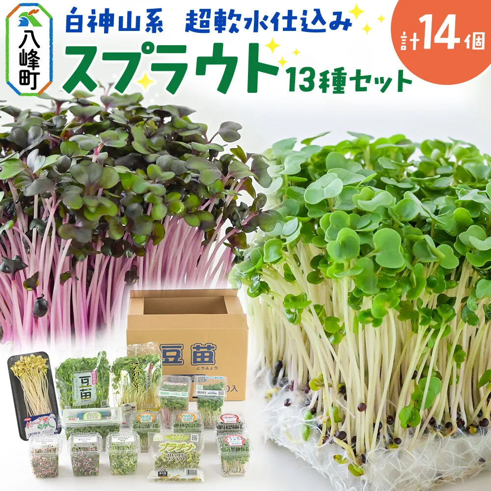 スプラウト、かいわれなど13種セット【白神山系　超軟水仕込み】　計14個 [スプラウト かいわれ カイワレ 野菜 サラダ 香草 飾り付け ベジタブル 秋田県八峰町産 国産] 秋田県八峰町