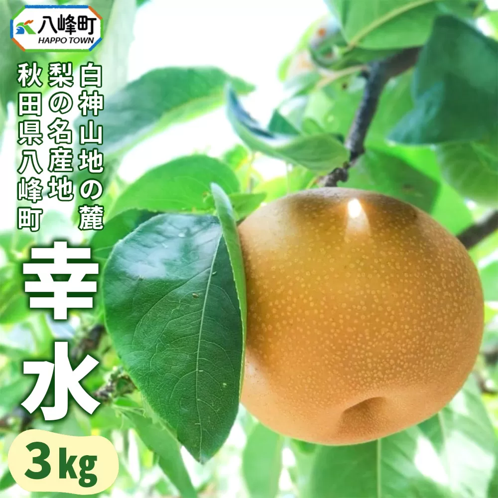 梨 幸水 3kg 白神山地の麓 峰浜の梨 笠原果樹園