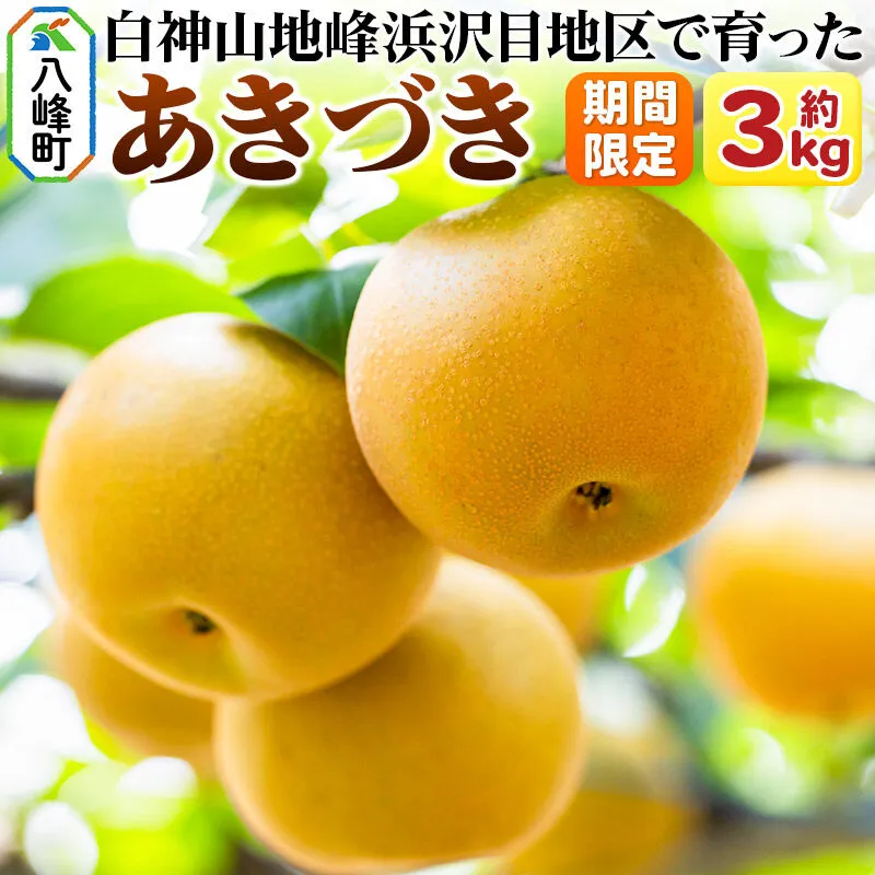 〜期間限定〜白神山地峰浜沢目地区で育った和梨「あきづき」約3kg [期間限定 和梨 あきづき 梨 ナシ なし 秋田県産 甘い ジューシー 白神山地 峰浜沢目地区] 秋田県八峰町