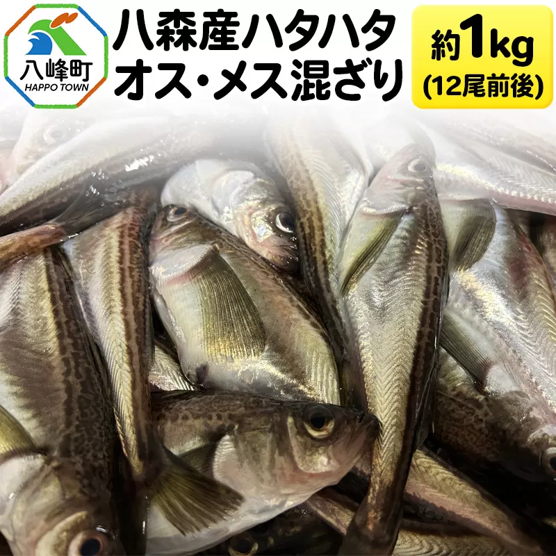 八森産ハタハタ オス・メス混ざり 約1kg(12尾前後) 秋田県産