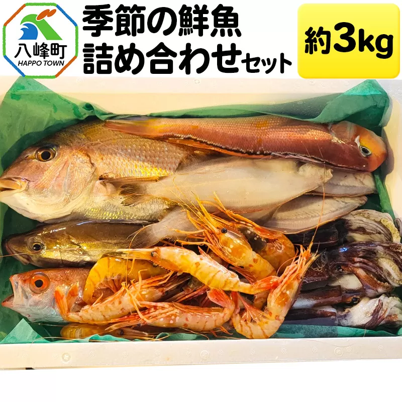 季節の鮮魚詰め合わせセット 約3kg 高級魚 鮮度抜群