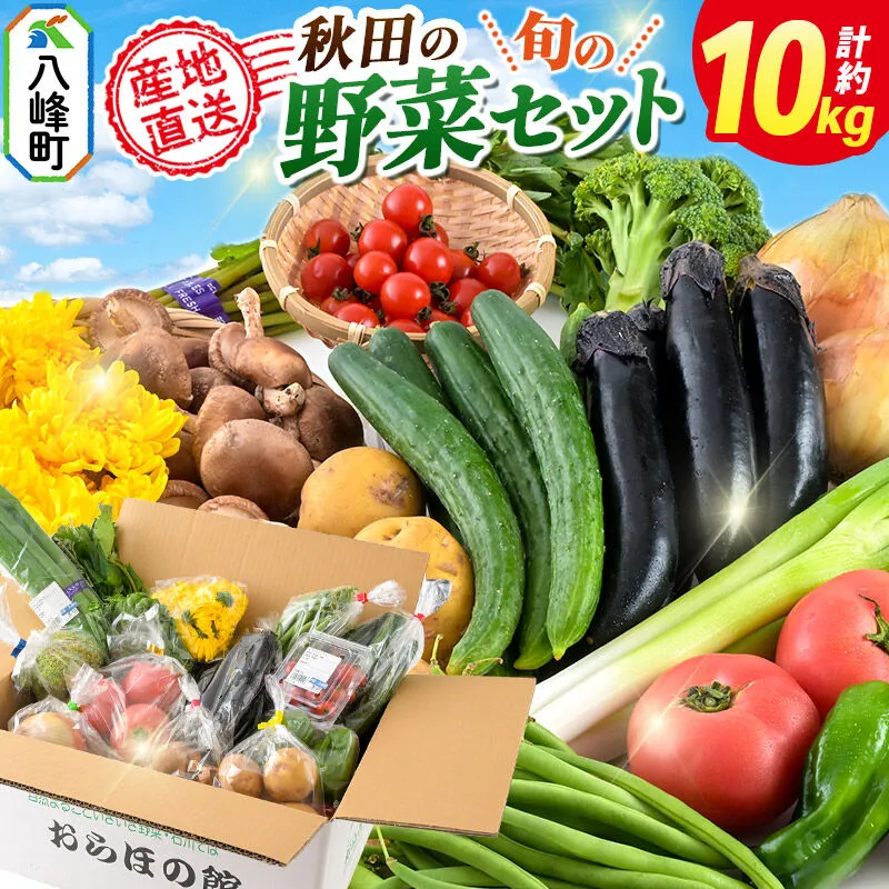 野菜 詰合せ 世界遺産「白神山地」の自然で採れた旬の野菜詰め合わせ 秋田県八峰町 おらほの館 [白神山地 野菜 旬の野菜 詰め合わせ セット 秋田県産] 秋田県八峰町