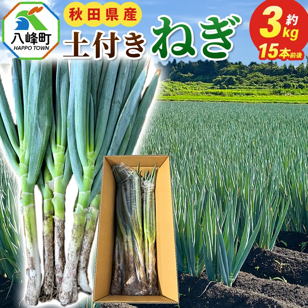 土付きねぎ 八峰町産 約3kg サイズいろいろミックス 15本前後 [産地直送 野菜 ネギ 白ねぎ 長ねぎ 秋田県産] 秋田県八峰町