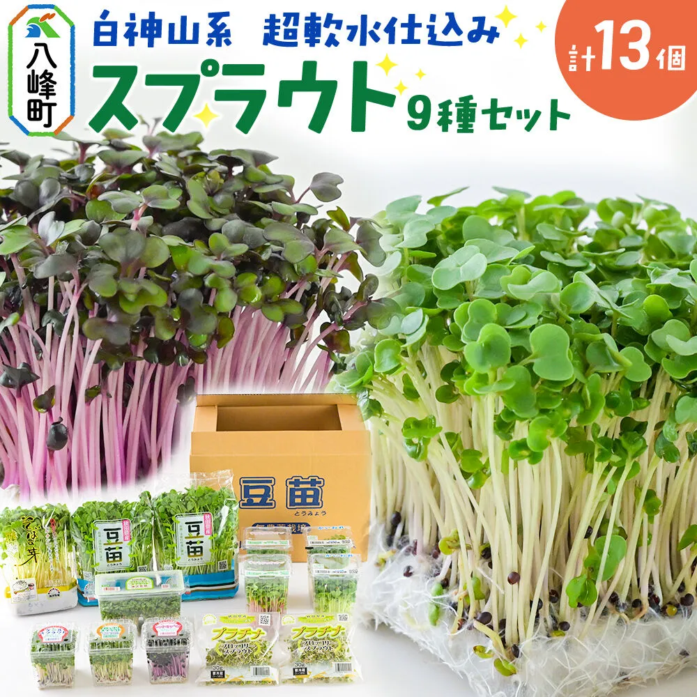 スプラウト、かいわれなど9種セット【白神山系　超軟水仕込み】　計13個 [スプラウト かいわれ カイワレ 野菜 サラダ 香草 飾り付け ベジタブル 秋田県八峰町産 国産] 秋田県八峰町