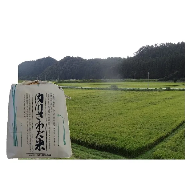 内川さわだ米（あきたこまち精米）5kg 秋田県五城目町産 お米