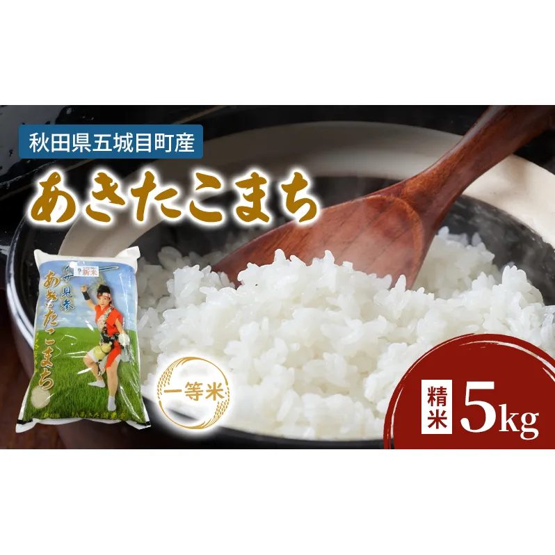JAあきた湖東 五城目産 一等米 あきたこまち 5kg 精米 秋田県産 お米 ご飯 ライス rice【配達不可：沖縄・離島】