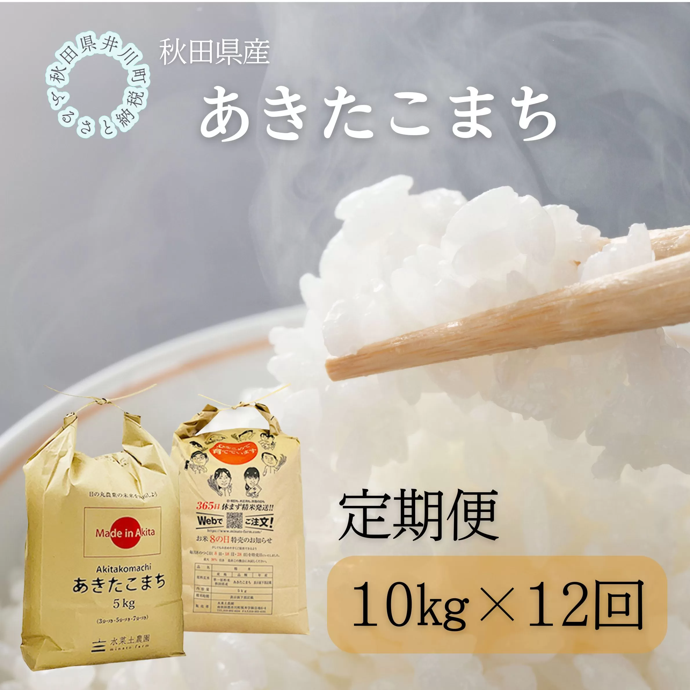 【定期便】秋田県産 あきたこまち10kg×12回