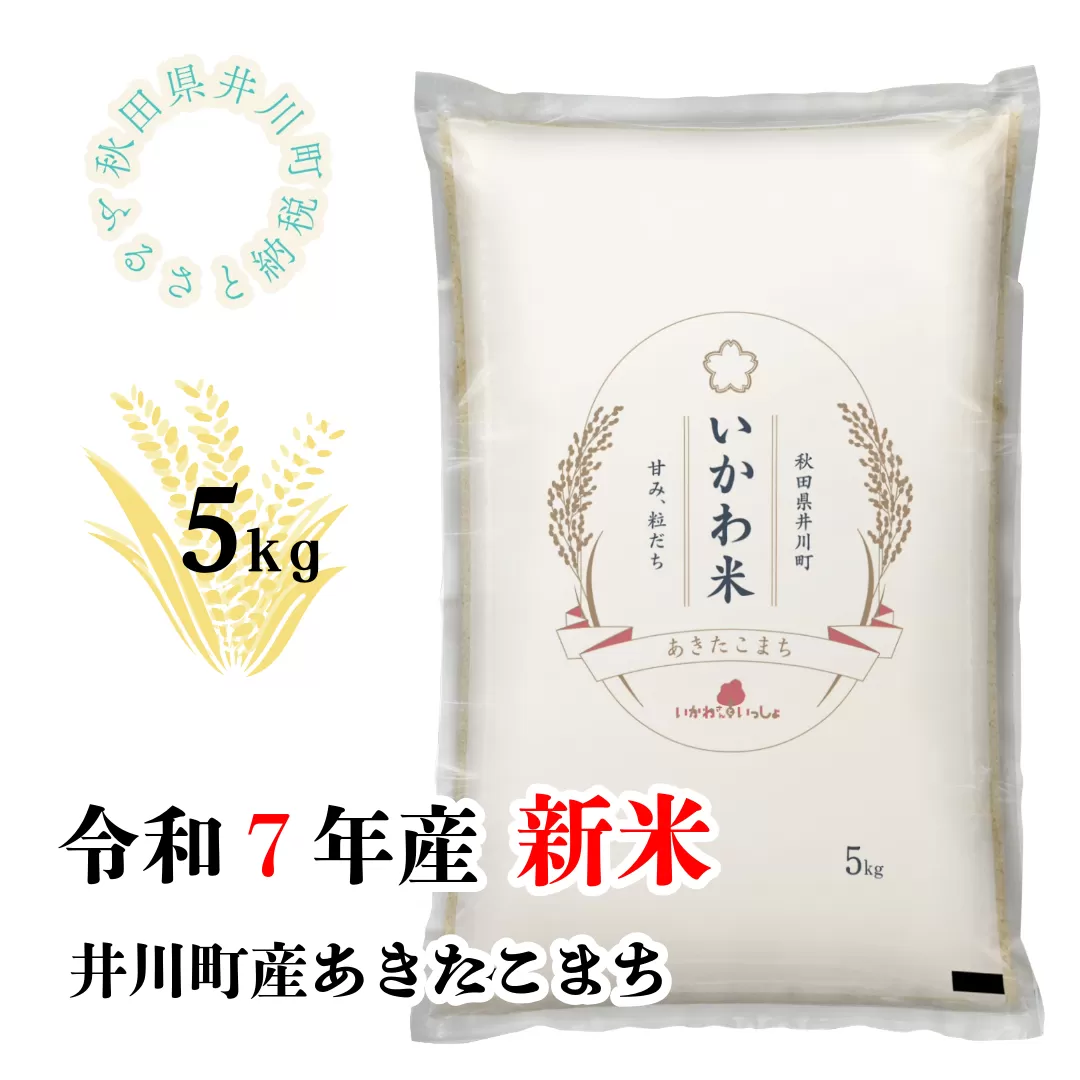 【令和7年産先行受付】あきたこまち　精米５ｋｇ　秋田県井川町産