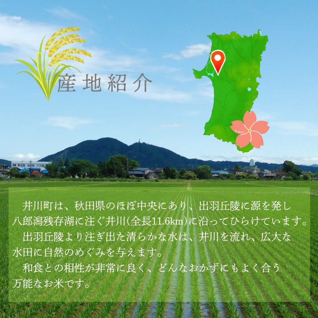 令和6年産先行受付】【定期便】精米5kg×10ヶ月 秋田県井川 令和6年産先行受付】【定期便】精米5kg×10ヶ月 秋田県井川