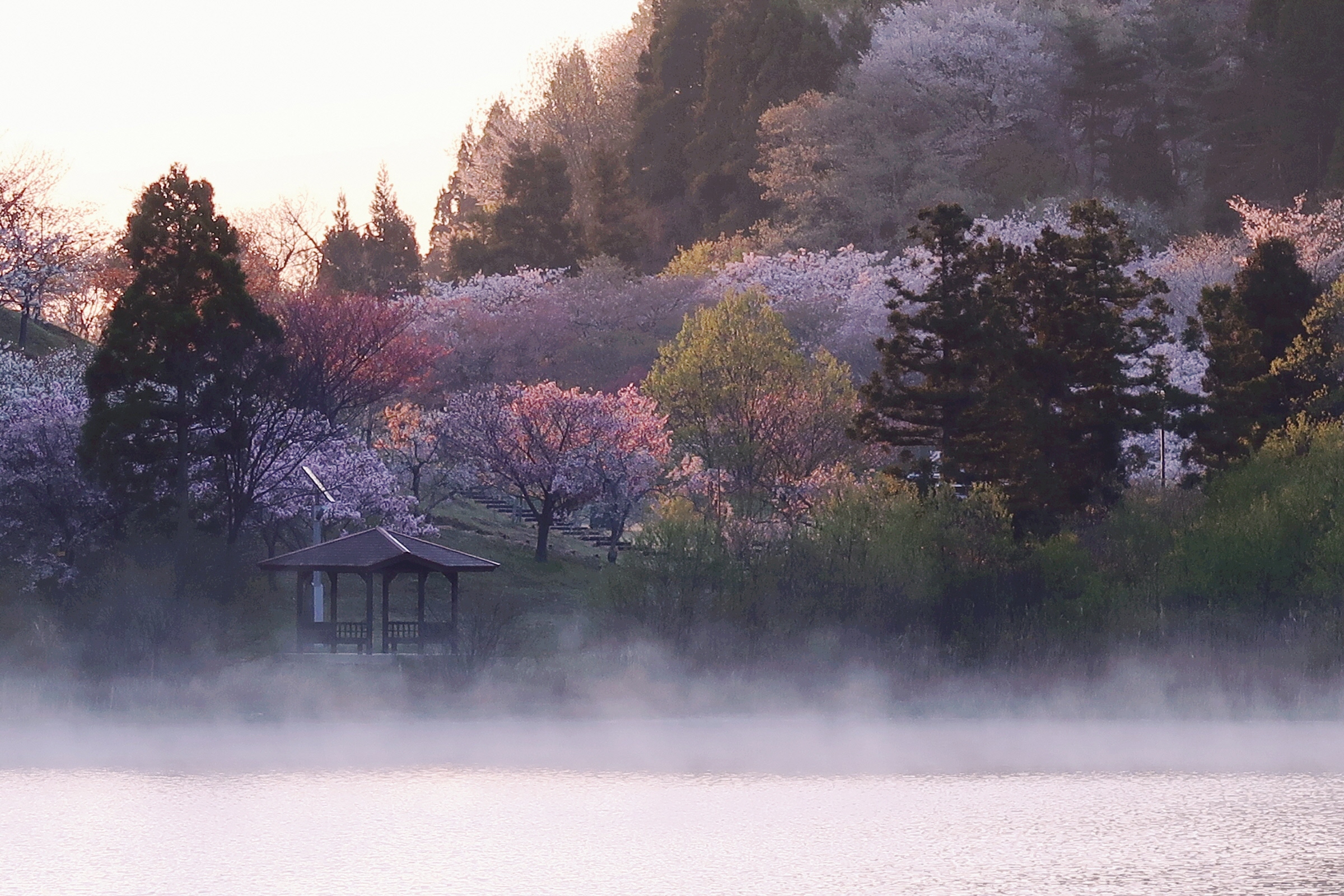 秋田県井川町