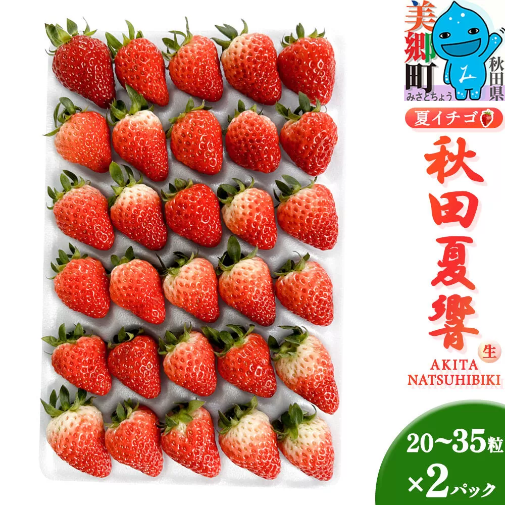 夏イチゴ「秋田夏響」 生 20〜35粒詰め合わせ×2パック  いちご 苺 なつひびき [果物 フルーツ 苺 イチゴ いちご] 秋田県美郷町