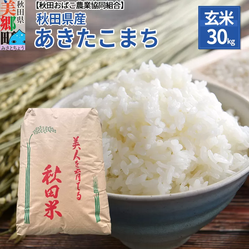 秋田県産 あきたこまち【玄米】30kg 令和4年産