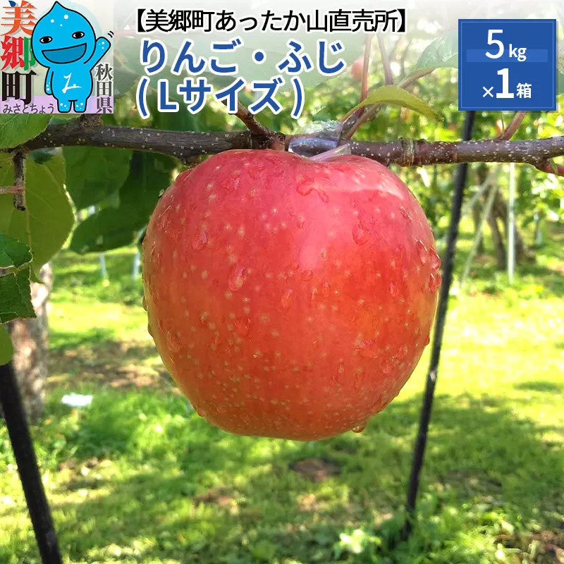 りんご・ふじ（Lサイズ）5kg×1箱 美郷町あったか山直売所