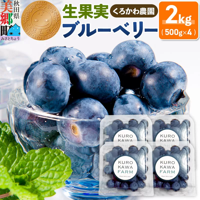 くろかわ農園 ブルーベリー 2kg（500g×4パック）摘みたて 秋田県美郷町 [摘みたて ブルーベリー 新鮮 その他のフルーツの返礼品] 秋田県美郷町
