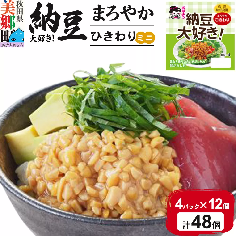 ヤマダフーズ 納豆大好きまろやか ひきわり ミニ 4パック×12個（計48個）
