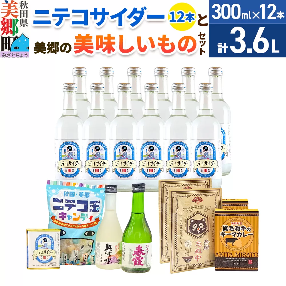 炭酸飲料 ニテコサイダー12本と美郷の美味しいものセット 秋田県美郷町