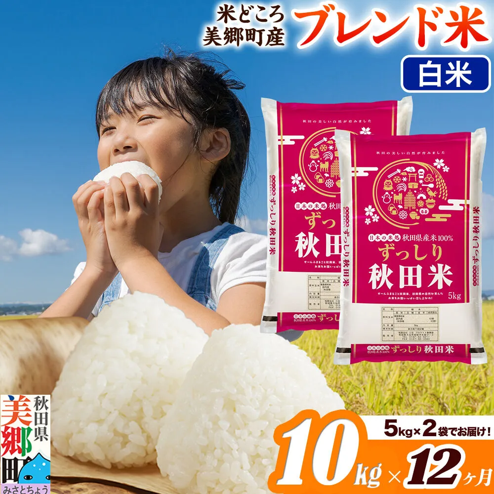 米《定期便12ヶ月》ブレンド米【白米】精米 10kg（5kg×2袋）秋田県美郷町産 [5kg袋 お米 こめ ご飯 ごはん 米どころ 秋田県産 美郷町] 秋田県美郷町