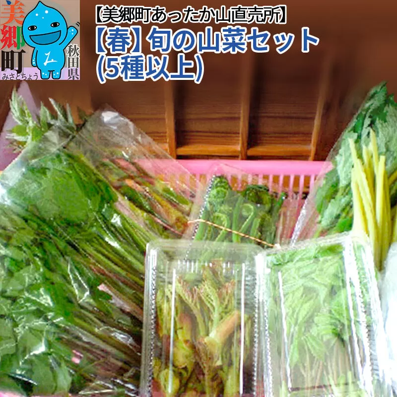 ＜先行受付＞【春】旬の山菜セット（5種類以上）美郷町あったか山直売所／ワラビ・タラの芽・タケノコ・山ウド・アイコ・シドケなど中身おまかせ [山菜 詰め合わせ] 秋田県美郷町